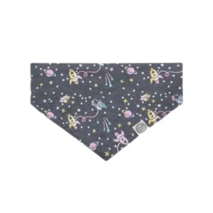 Canada Pooch BNDNA OUTR SPACE LG/XL