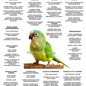 Cancer in Birds Poster by Monika Sangar (PDF)