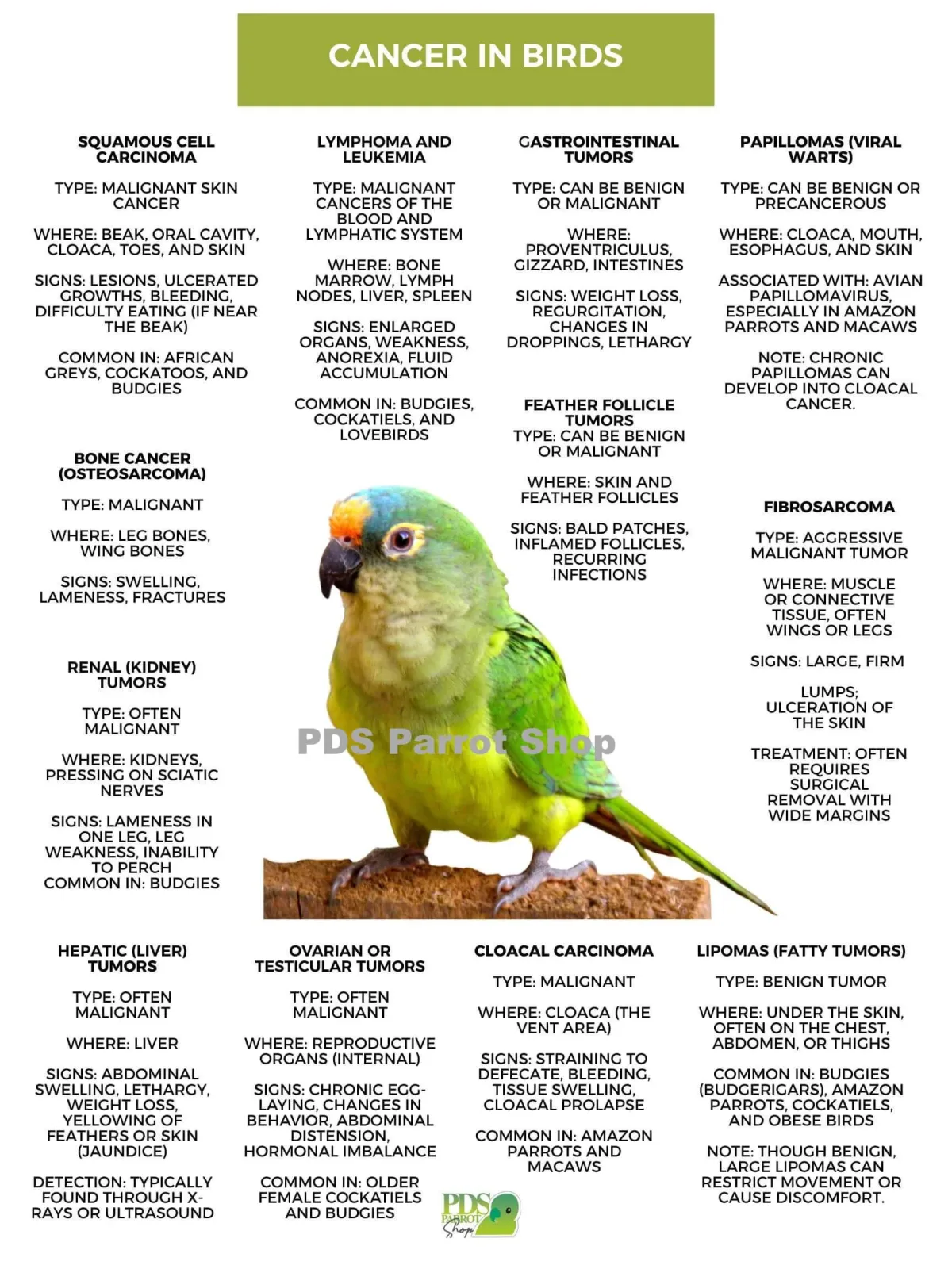 Cancer in Birds Poster by Monika Sangar (PDF)