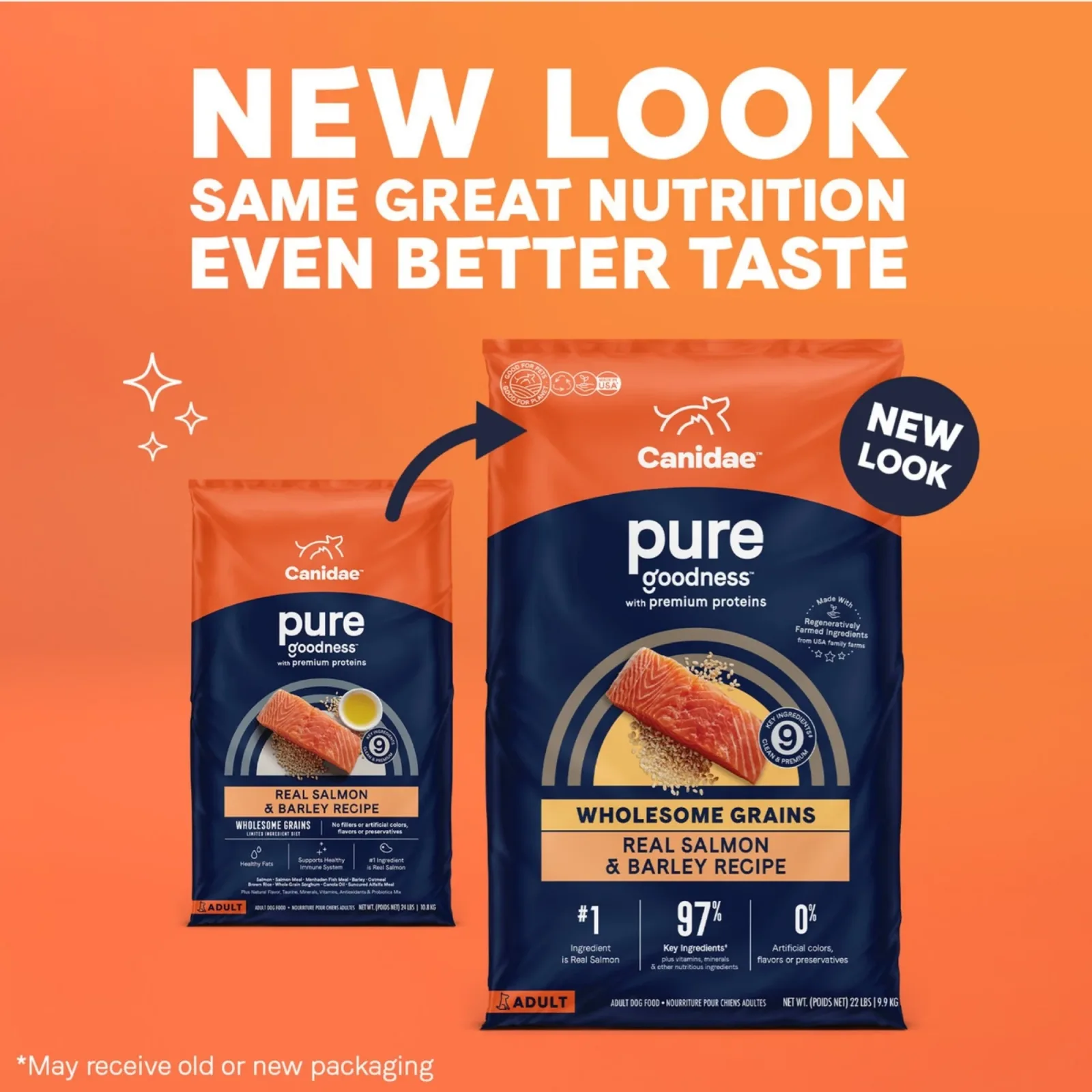 CANIDAE PURE Salmon & Barley Dry Dog Food with Wholesome Grains, 4 lb - Image 2