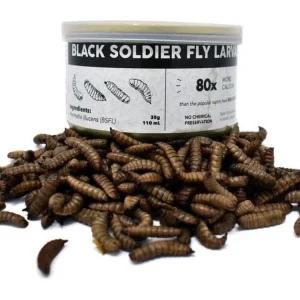 Canned Black Soldier Fly Larvae