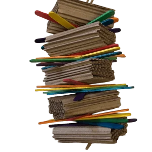 Cardboard and Popsicle Bird Toy
