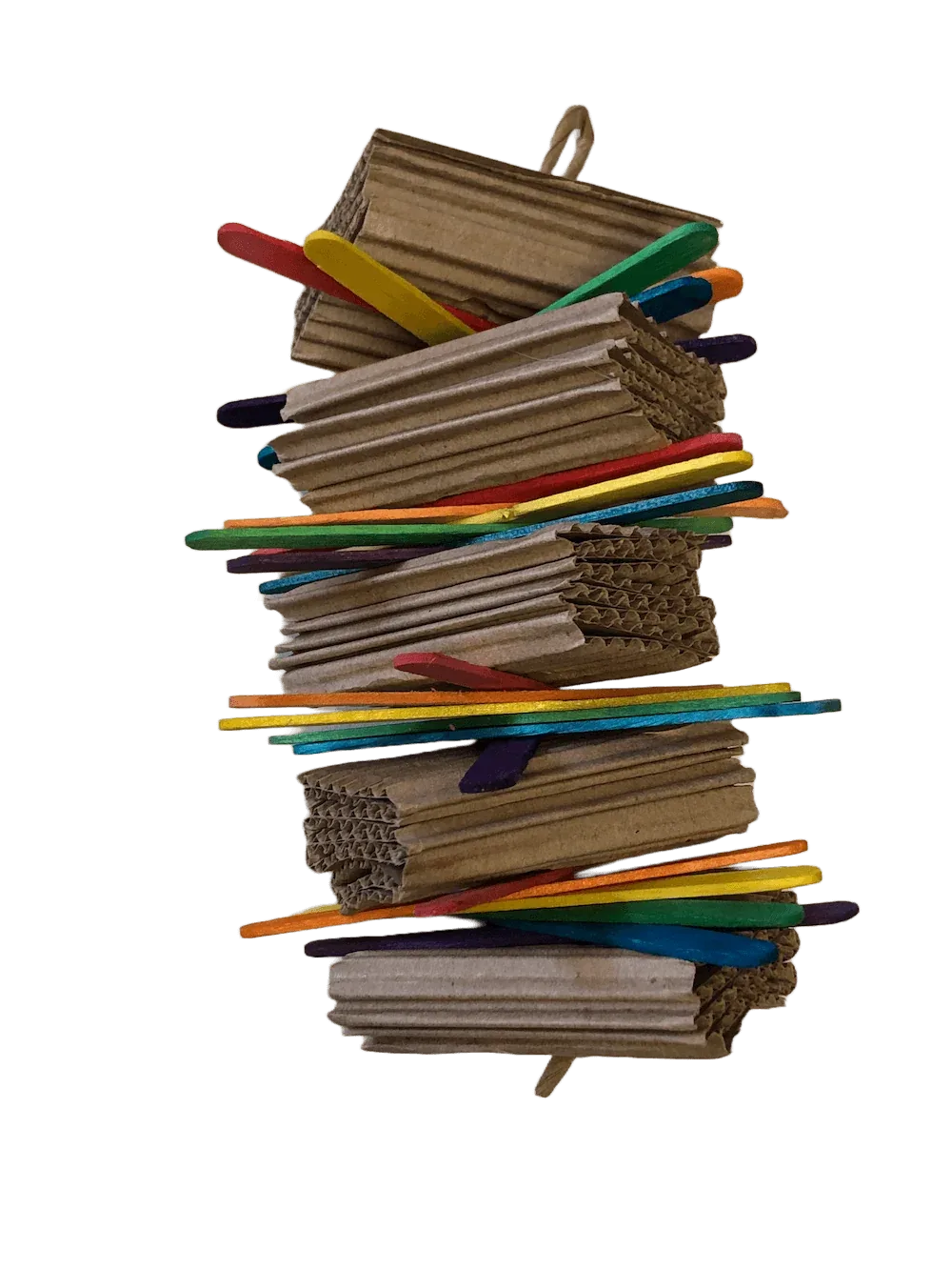 Cardboard and Popsicle Bird Toy