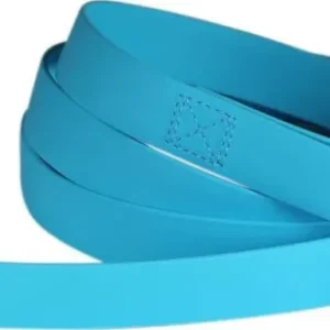 Carvinal Biothane Dog Lead