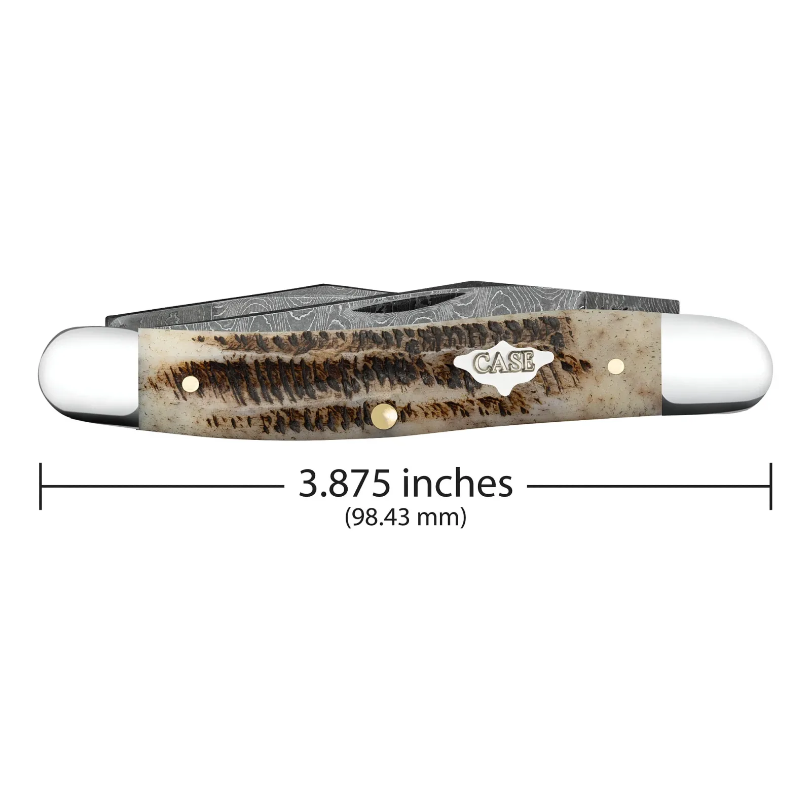 Case XX Muskrat Vintage Bone Pocket Knife CA77463 - Image 2