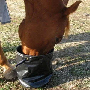 Cashel Collapsible Water Pail