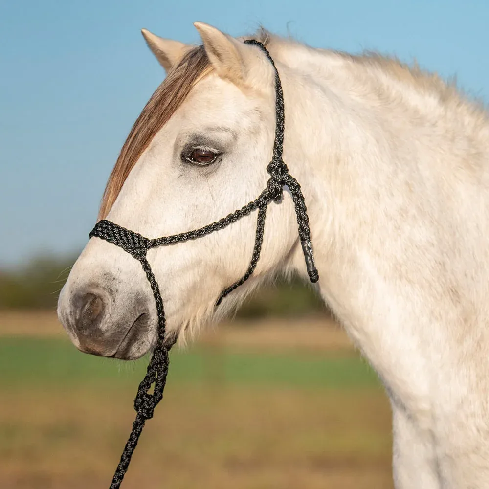 Cashel Company Flat Braided Pony Halter with 9ft Lead - Image 2