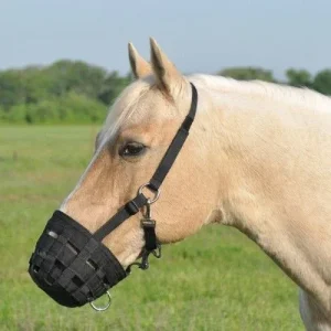 Cashel Grazing Muzzle Halter Arab/Sm Horse Black