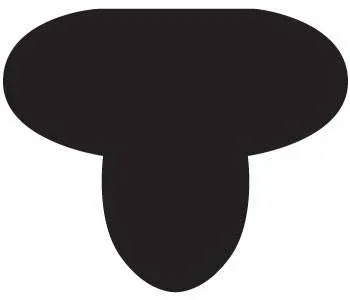 Cashel Race Exercise Shaped Cushion Pad 1 Blk
