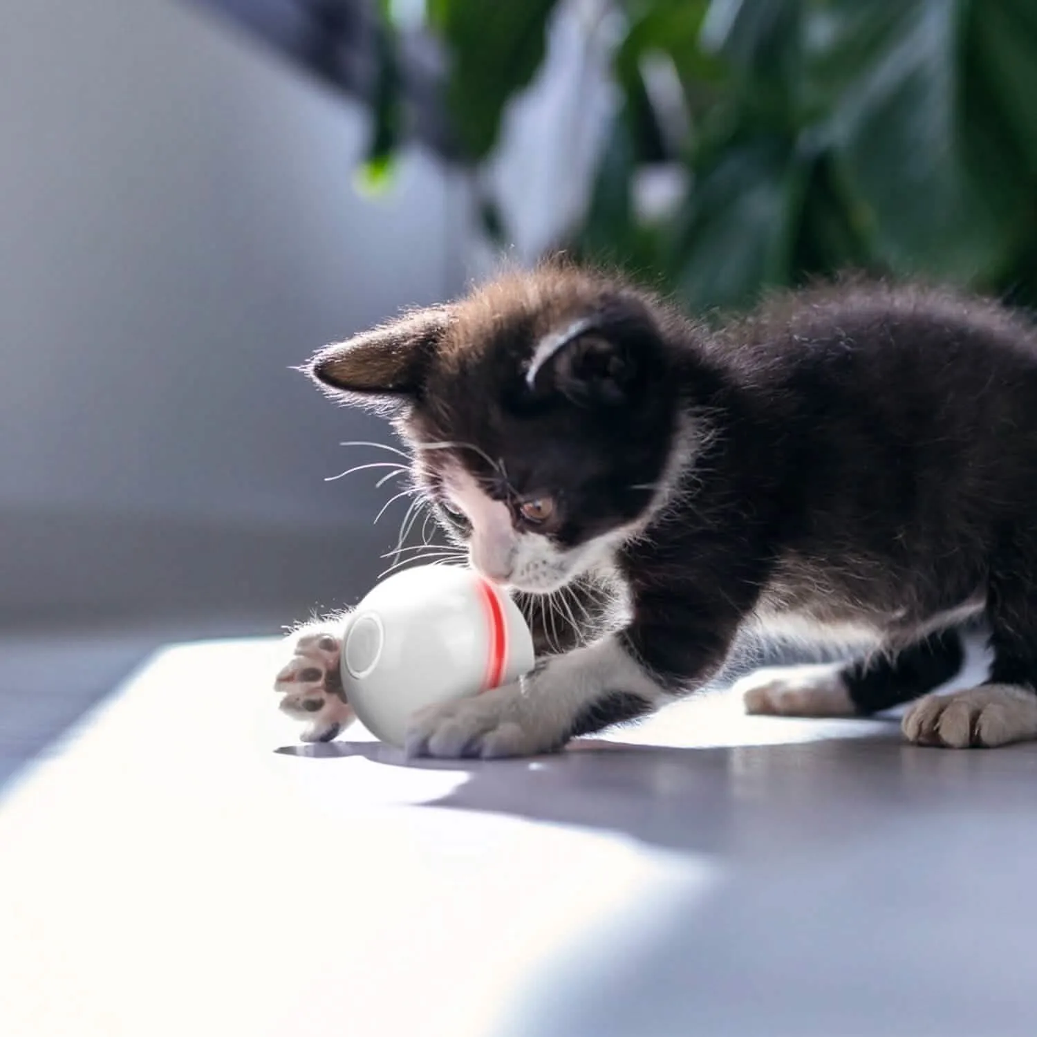 Cat Teaser Ball Automatic Self Rotating Interactive Cat Motion Exercise Toy