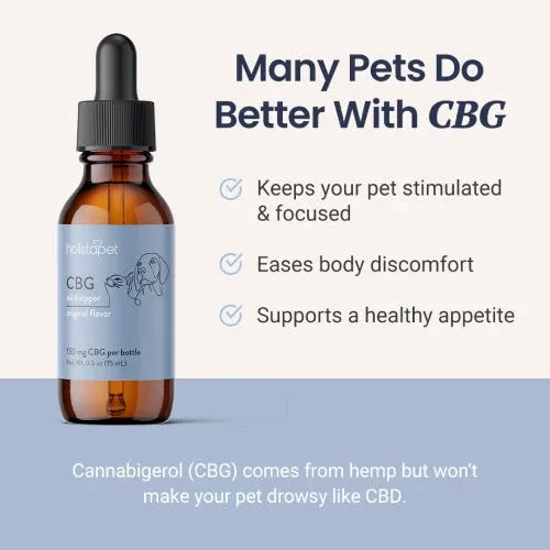 CBG Oil for Dogs and Cats - Image 2