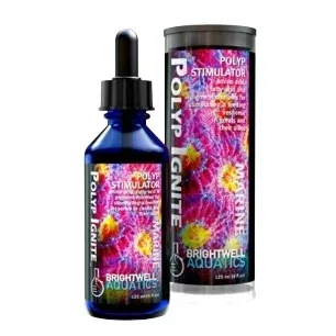 CC - Polyp Ignite