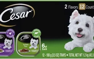 Cesar Grilled Chicken and Top Sirloin Multipack Dog Food 2Ea/42.3 Oz, 12 Pk