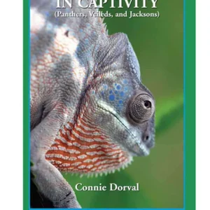 Chameleons in Captivity