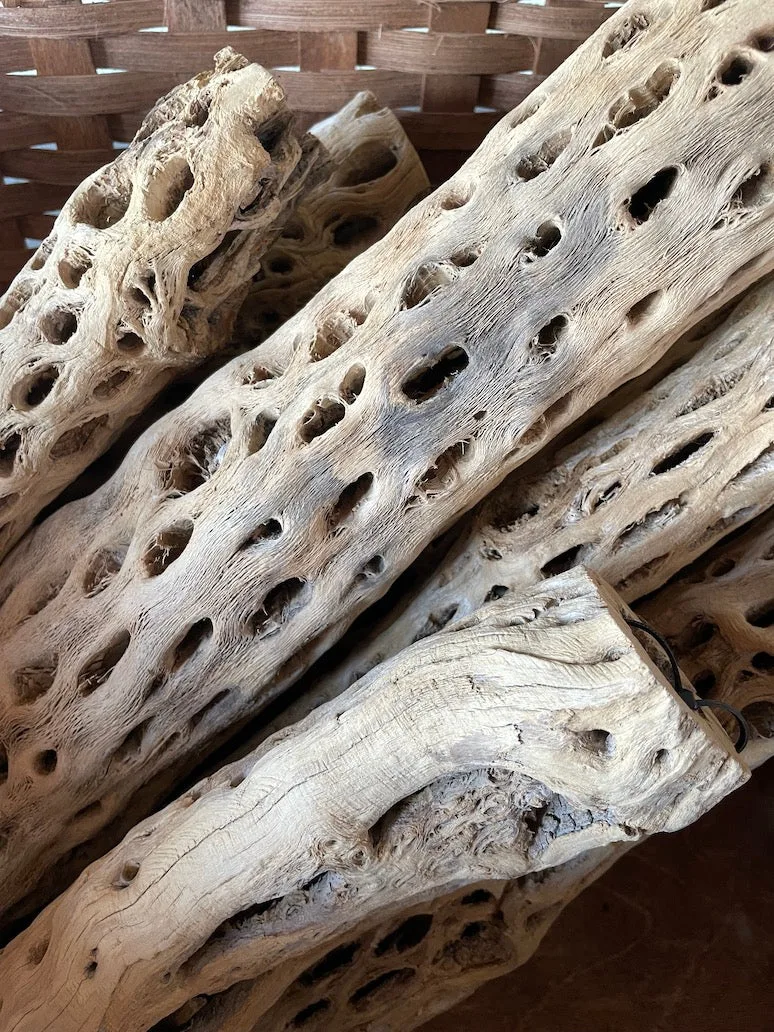 Cholla Wood - Image 2