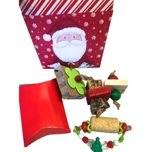 Christmas Box Bird Toys