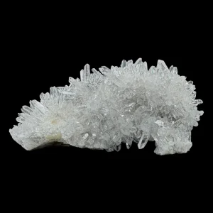 Chrysanthemum Stone