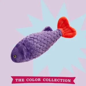 Cici Topical Fish