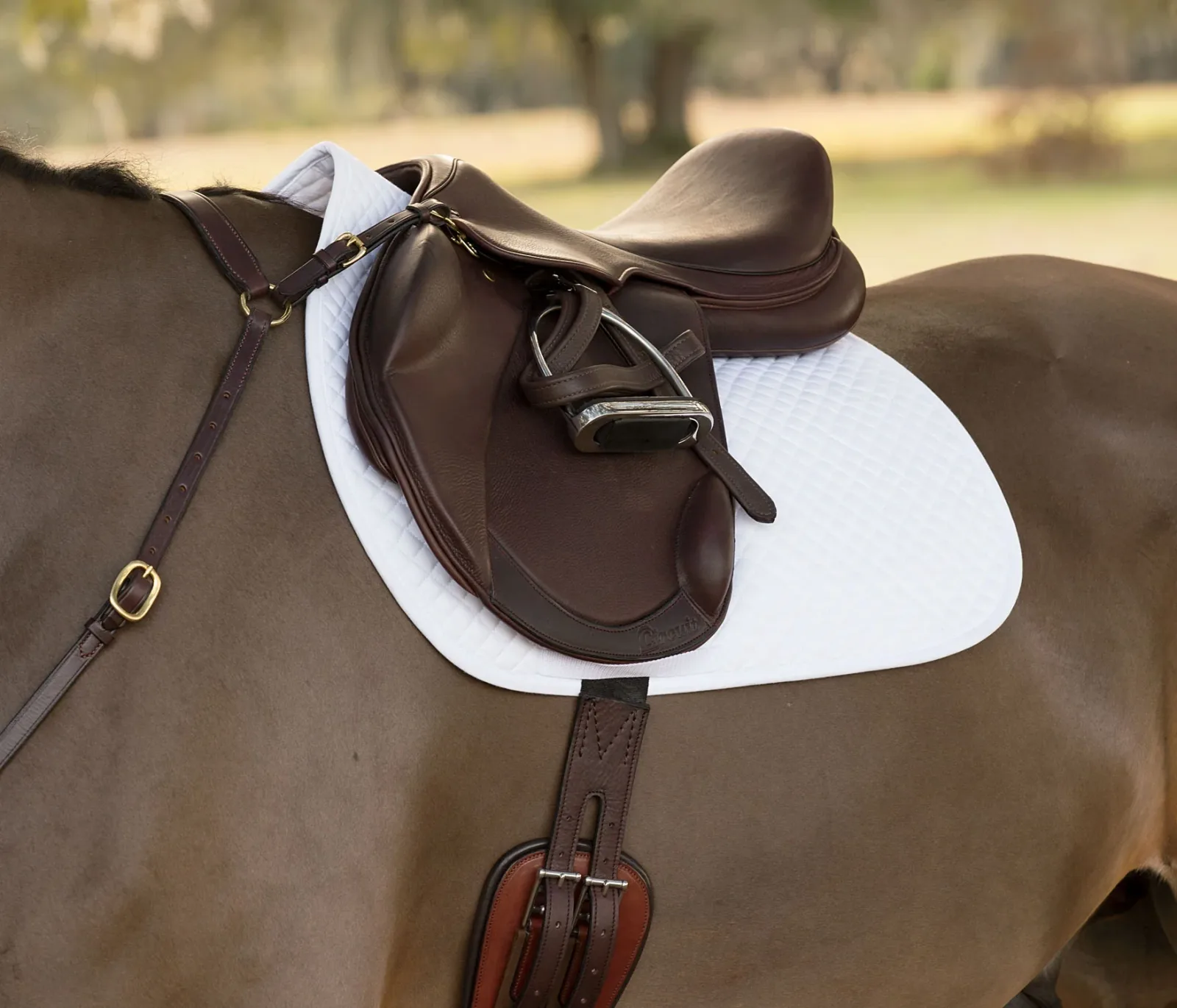 Circuit™ Premier Monoflap Event Saddle - Image 2