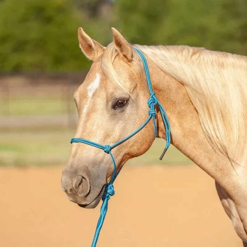 Classic Equine Econo Rope Halter and 8-foot Leadro - Image 2