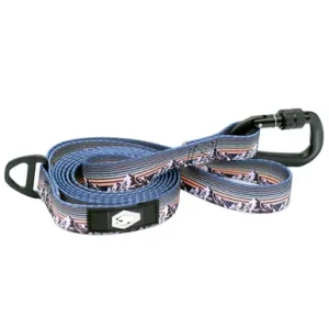 Classy Dog Outdoor Style Mountain Sunset Nylon Dog Dog Leash