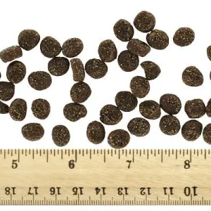 Clean Run Cloud Star Tricky Trainers Mini - Liver, 5 oz.
