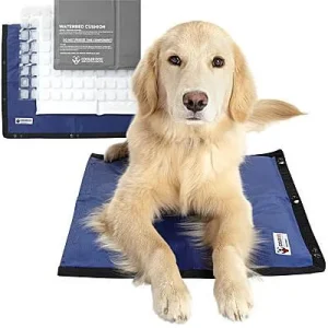 Clean Run Cooler Dog Hydro Cooling Mat