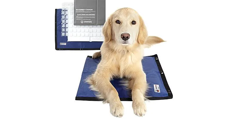 Clean Run Cooler Dog Hydro Cooling Mat