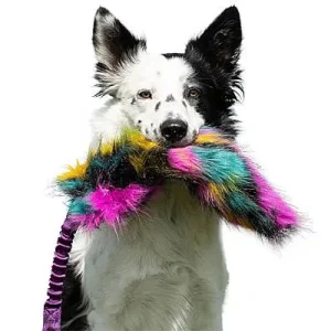 Clean Run Doggie-Zen Bungee Crinkle Tug, DZ-7872