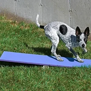 Clean Run Max 200 Tippy Plank
