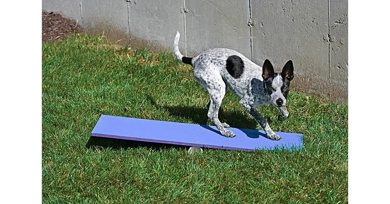 Clean Run Max 200 Tippy Plank