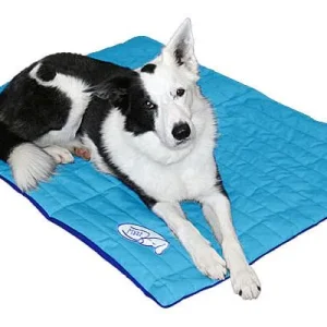 Clean Run Mutt Mats - The Original Travel Mat