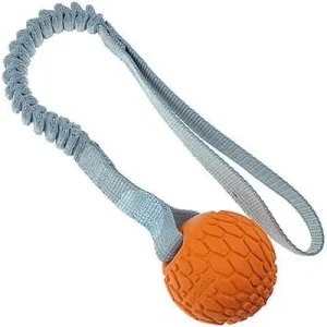 Clean Run N-Gage Squeaker Ball with Bungee Handle