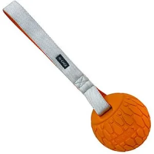 Clean Run N-Gage Squeaker Ball with Handle