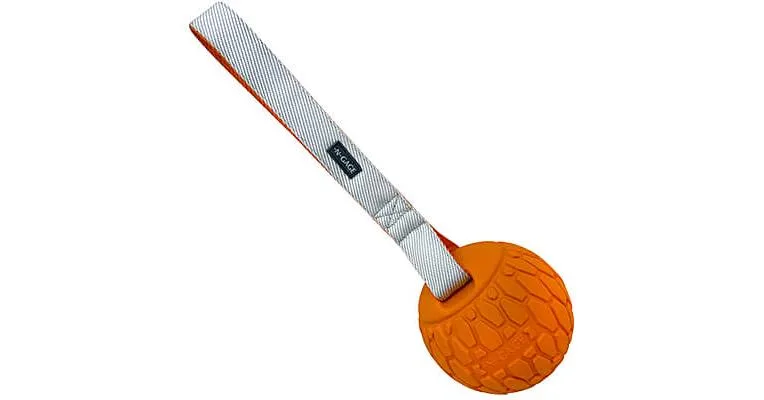 Clean Run N-Gage Squeaker Ball with Handle