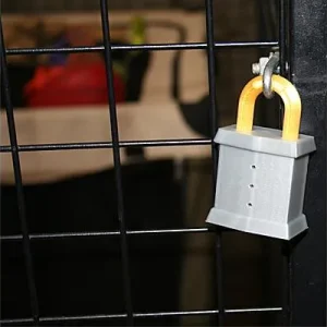 Clean Run Nose Work Padlock Scent Vessel