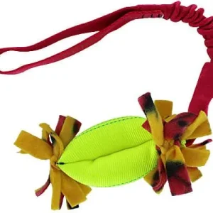 Clean Run Treat Hugger Bungee Tug