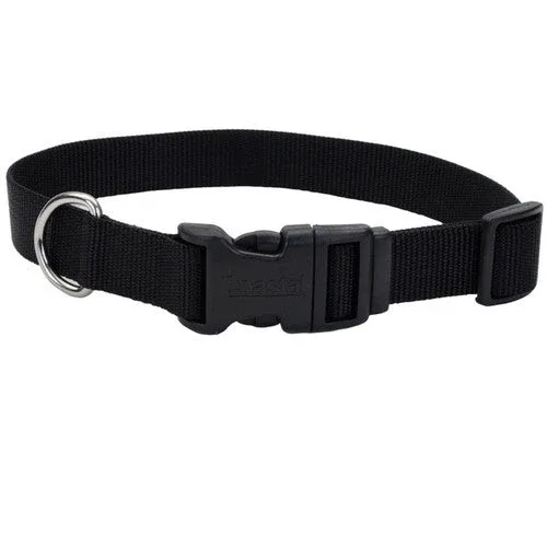 Coastal Adjustable Nylon Dog Collar with Plastic Buckle Black 3/4 in x 14-20 in - Image 2