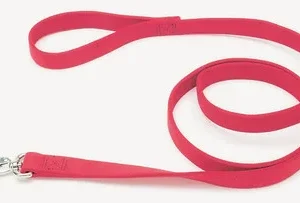 Coastal Pet Double Nylon Lead - Red 72" Long x 1" Wide