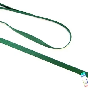 Coastal Pet Single Nylon Lead - Hunter Green