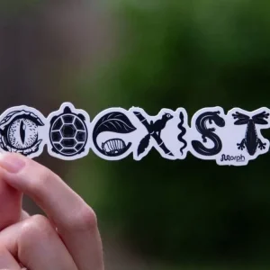 Coexist Sticker (B&W)