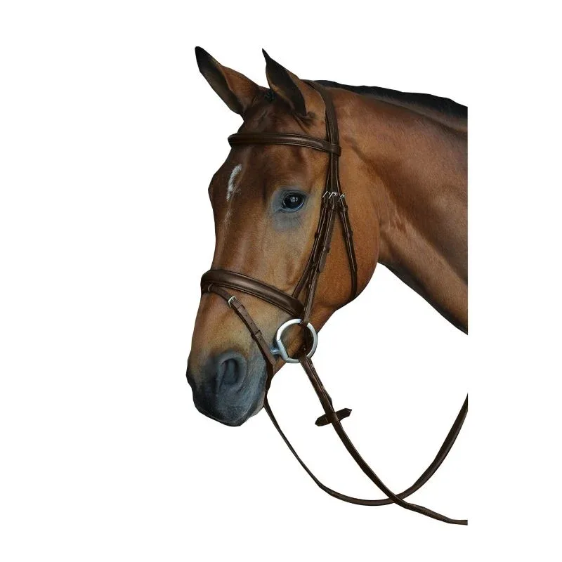 Collegiate CC Pad Raised Flash Bridle - Image 2