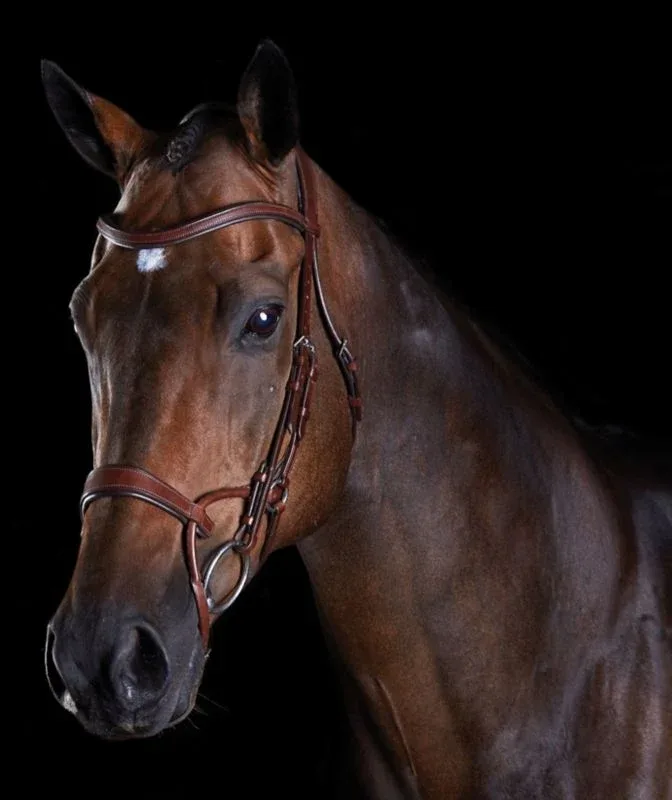 Collegiate ComFiTec Training Bridle - Image 2