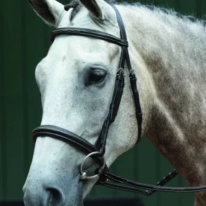 Collegiate® Essential Padded Raised Fancy-Stitched Caveson Bridle