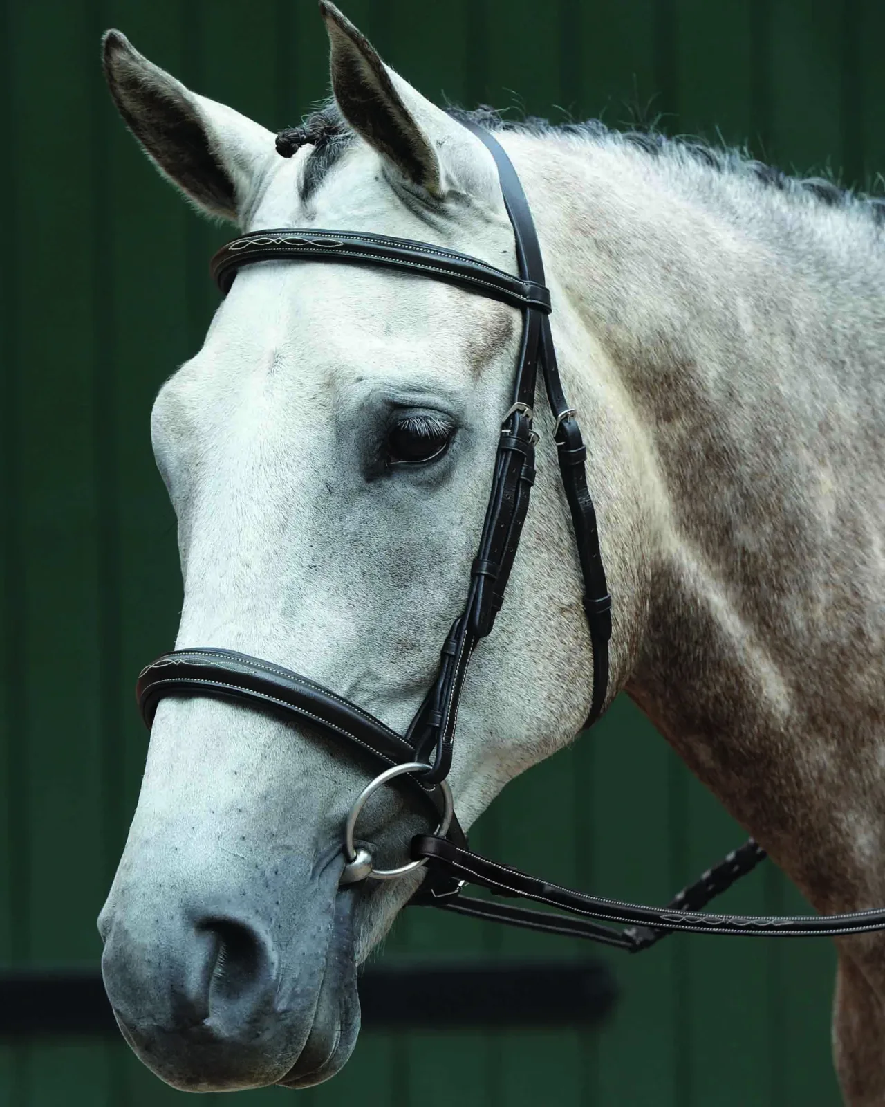 Collegiate® Essential Padded Raised Fancy-Stitched Caveson Bridle