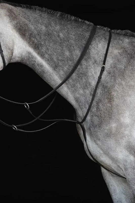Collegiate Running Martingale - Image 2