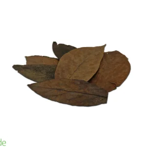 Colombian Leaf Litter - Avocado Leaves 20 count