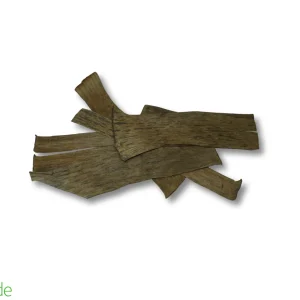 Colombian Leaf Litter - Banana Leaves (Musa sp.) - 15 Pieces/Strips