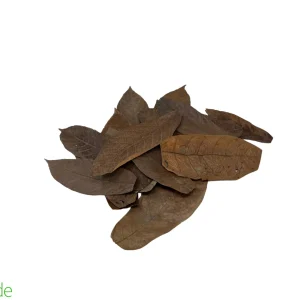 Colombian Leaf Litter - Cacao Leaves - 20 count