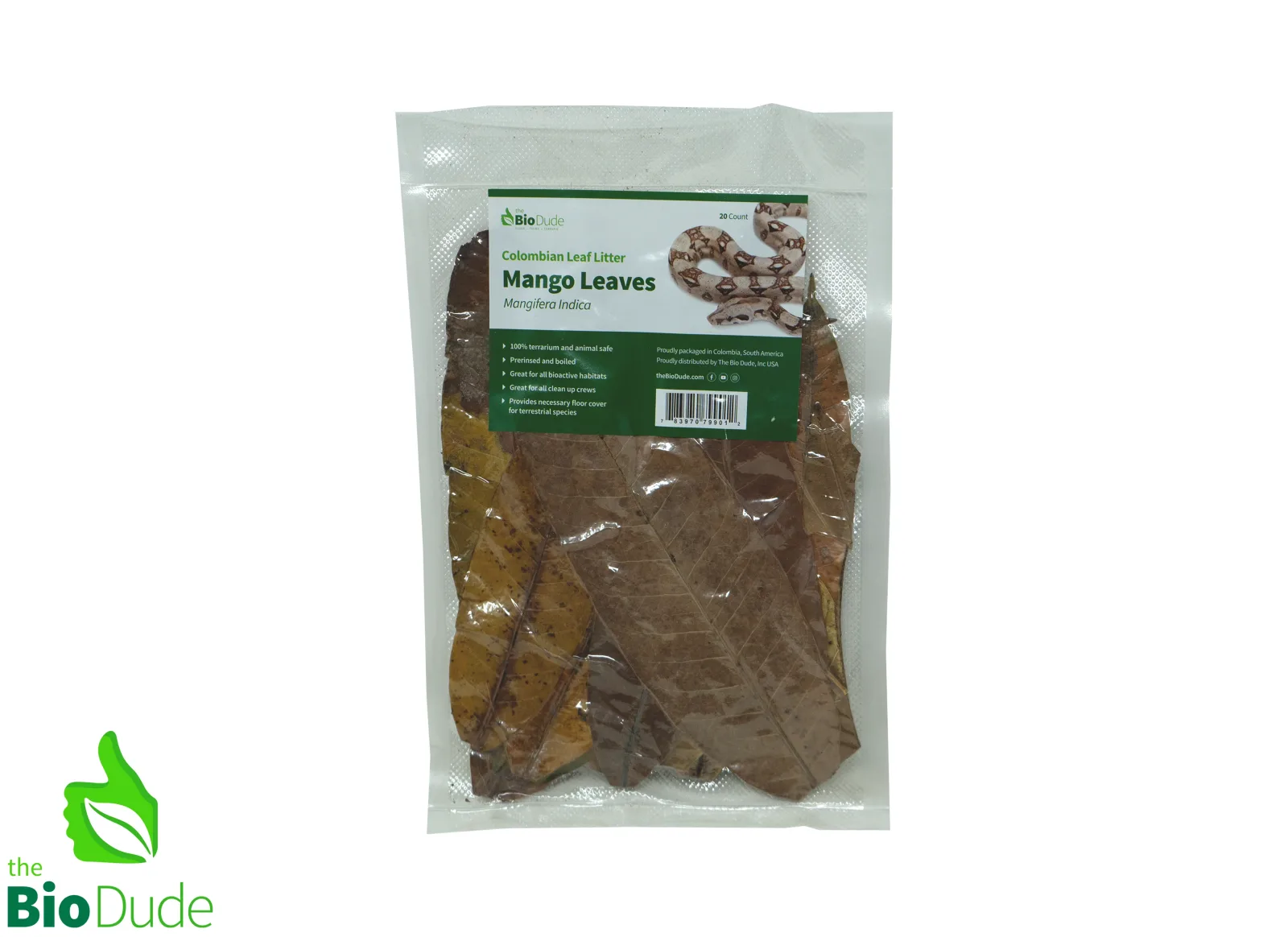 Colombian Leaf Litter - Mango Leaves - Mangifera Indica 20 count - Image 2